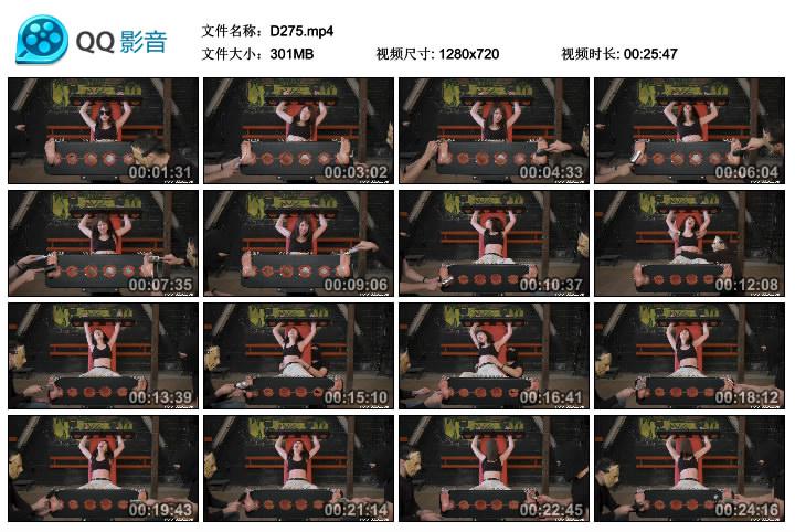 D275.om.jpg Kat Anim Stock  - D275 第1张