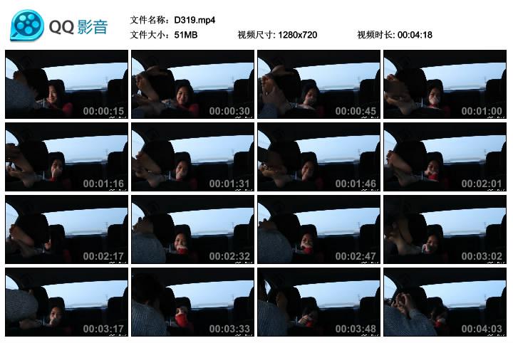 D319.gc.jpg 车内TK - D319  第1张