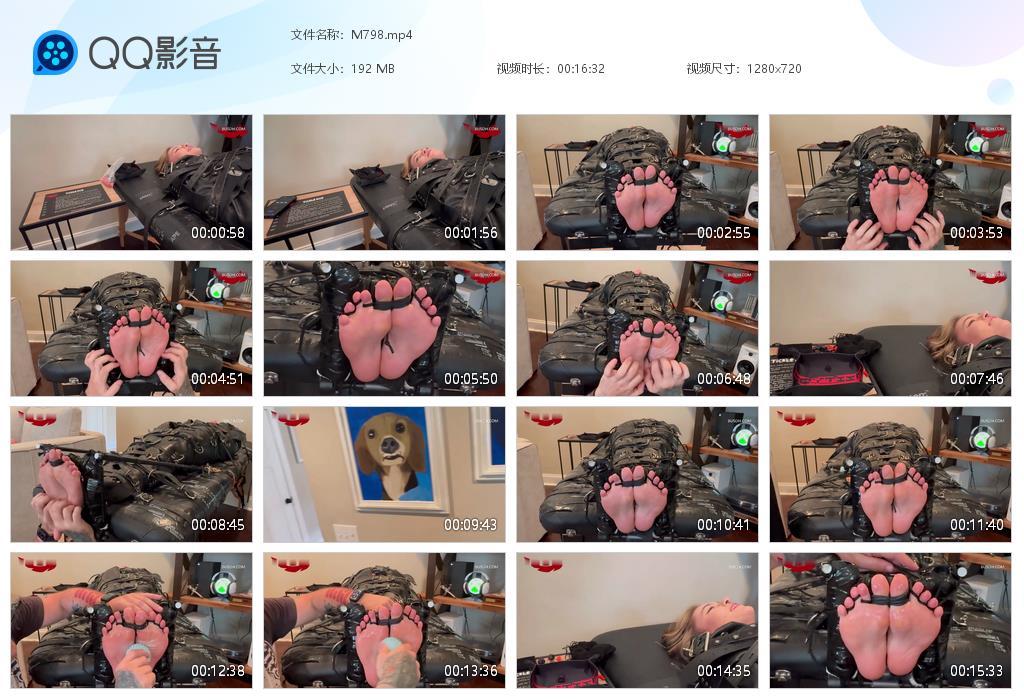 O.jpg Salem Rose - M798  第1张