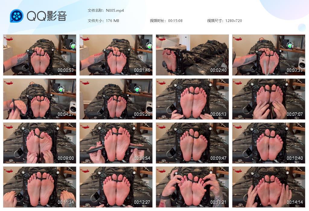 O.jpg F Salem Rose - N005  第1张