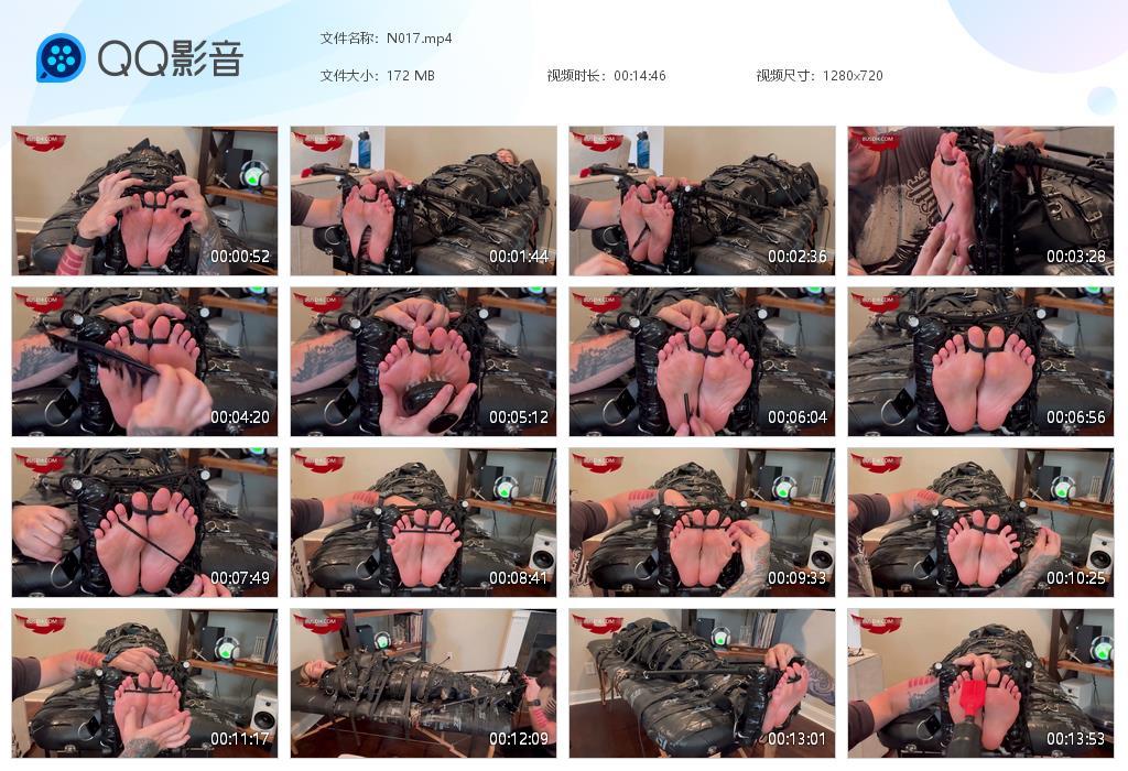 O.jpg Salem Rose - N017  第1张